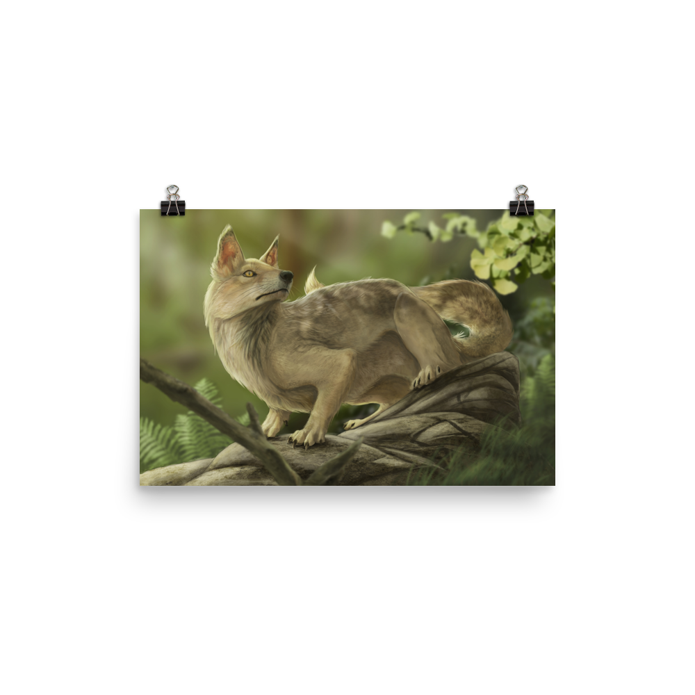 Hesperocyon sp. — Poster 12×18