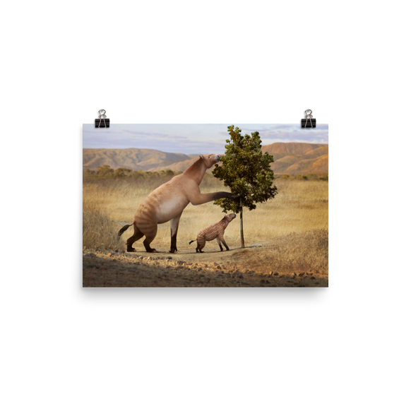 Chalicotherium sp. — Poster 12×18