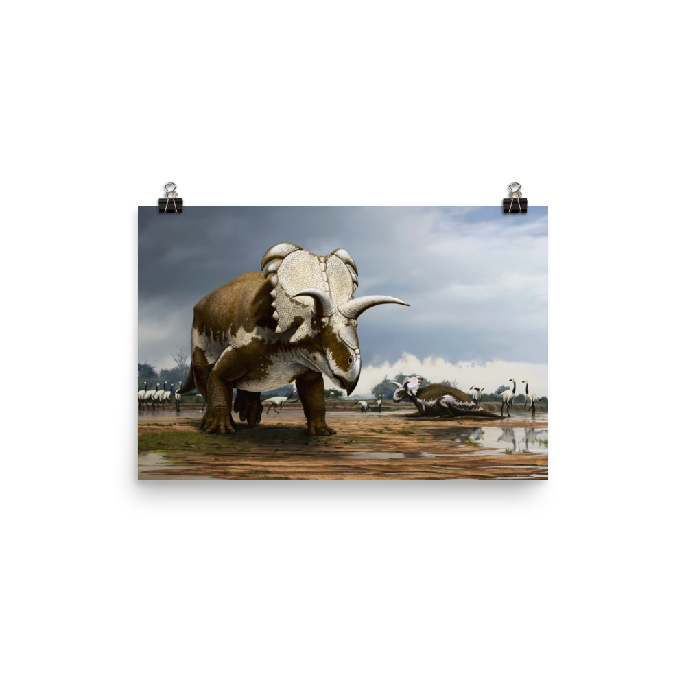Medusaceratops poster