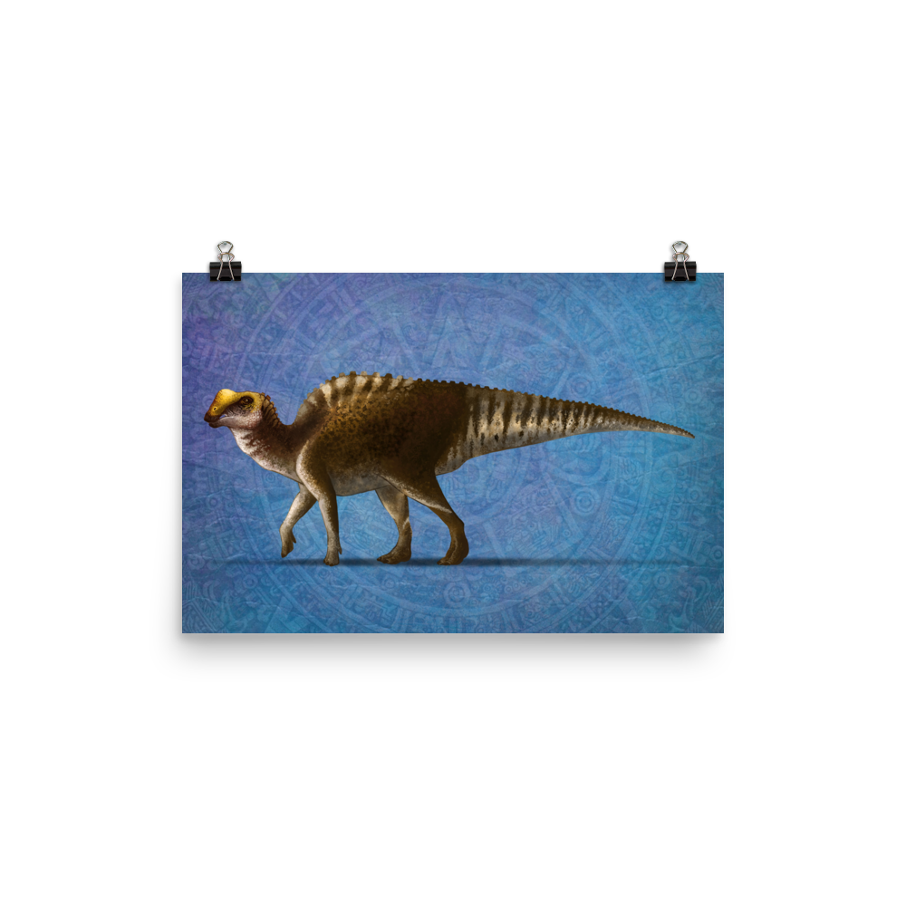 Latirhinus uitstlani poster