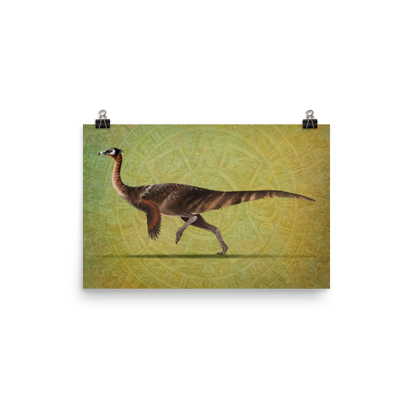 Saltillomimus rapidus — Poster 12×18