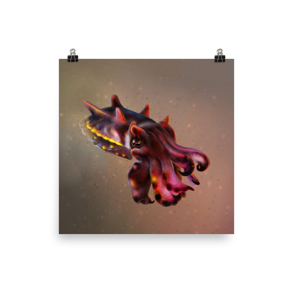 Metasepia pfefferi — Poster 14×14