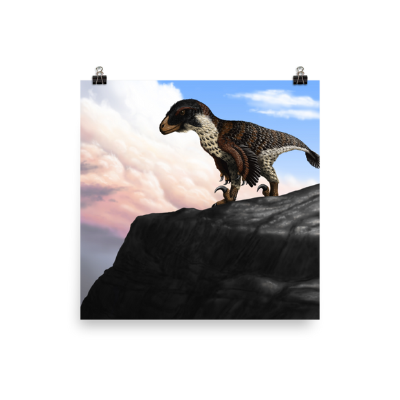 Dakotaraptor steini — Poster 16×16