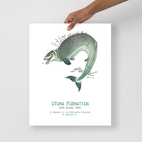 Favorite Dinosaurs poster – Studio 252MYA