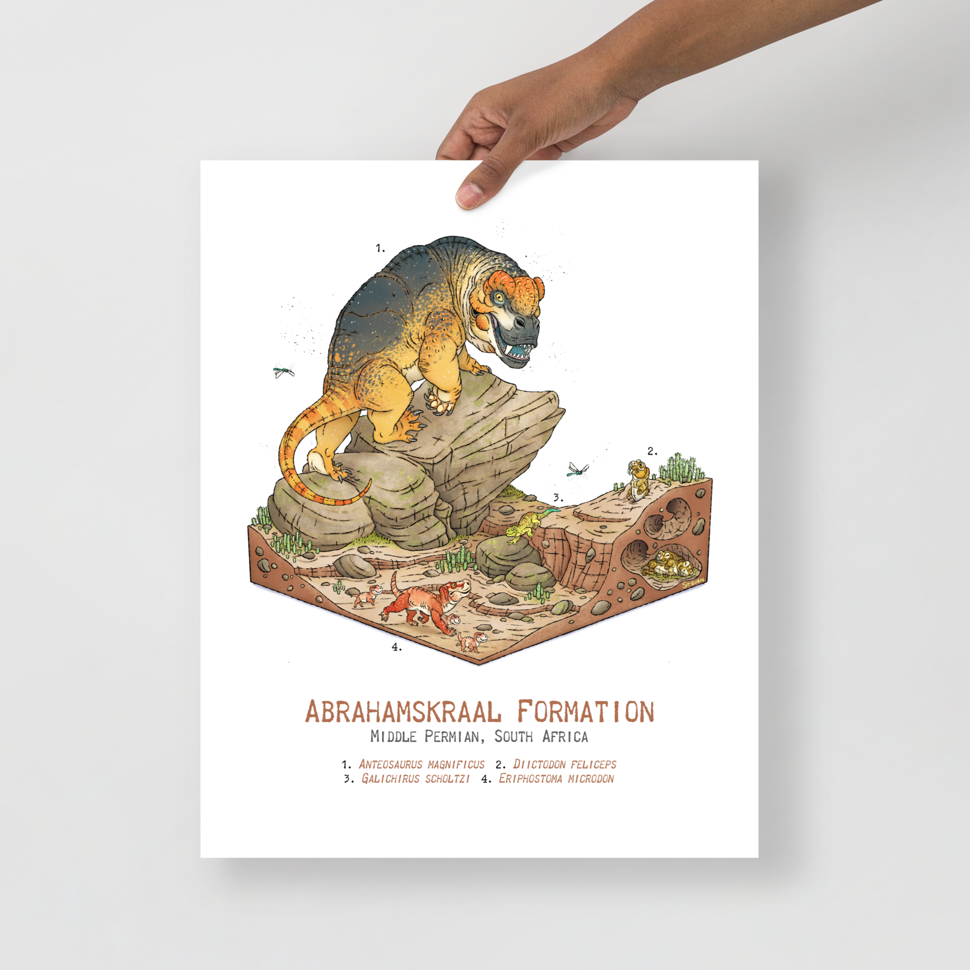 Abrahamskraal Formation Diorama poster