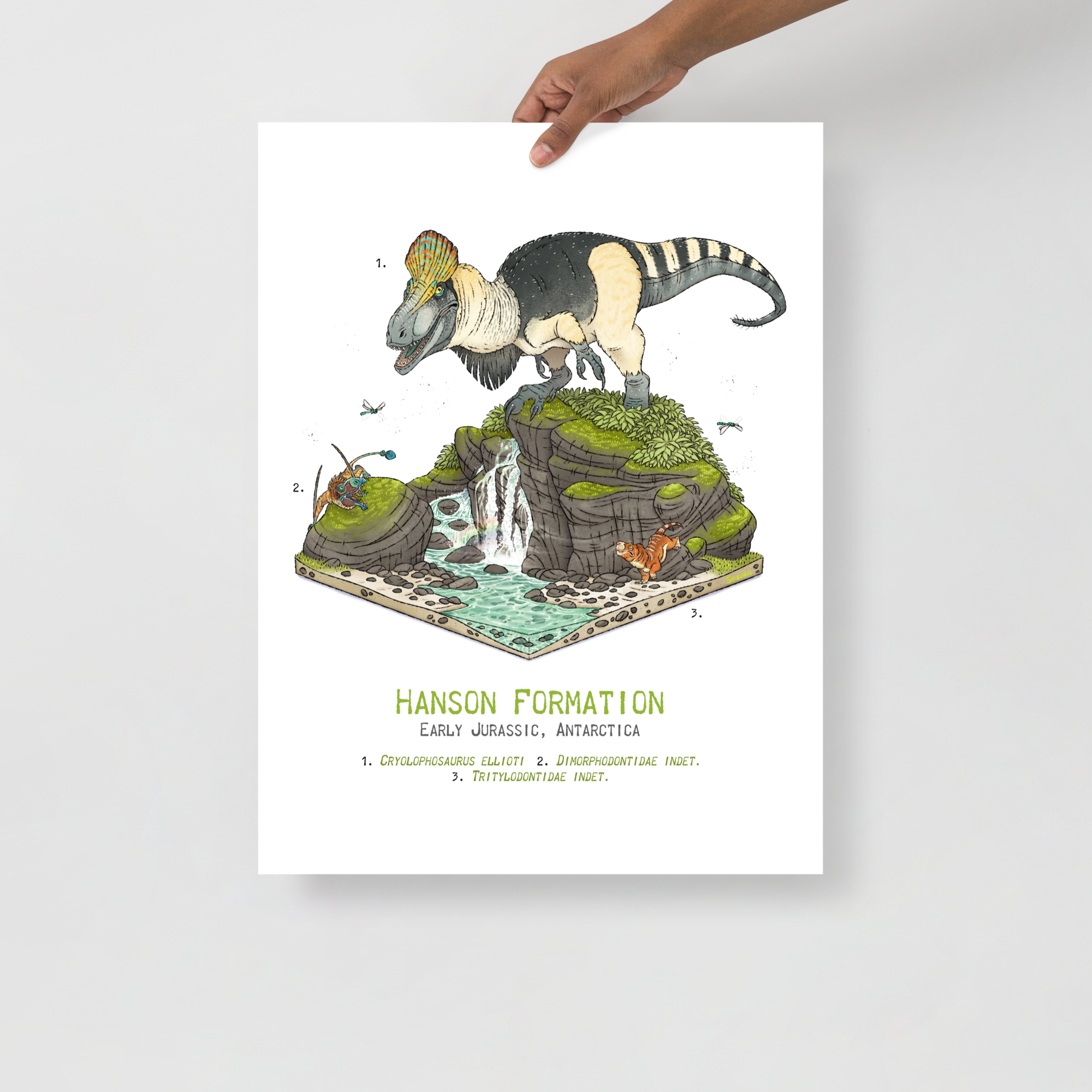 Hanson Formation Diorama poster