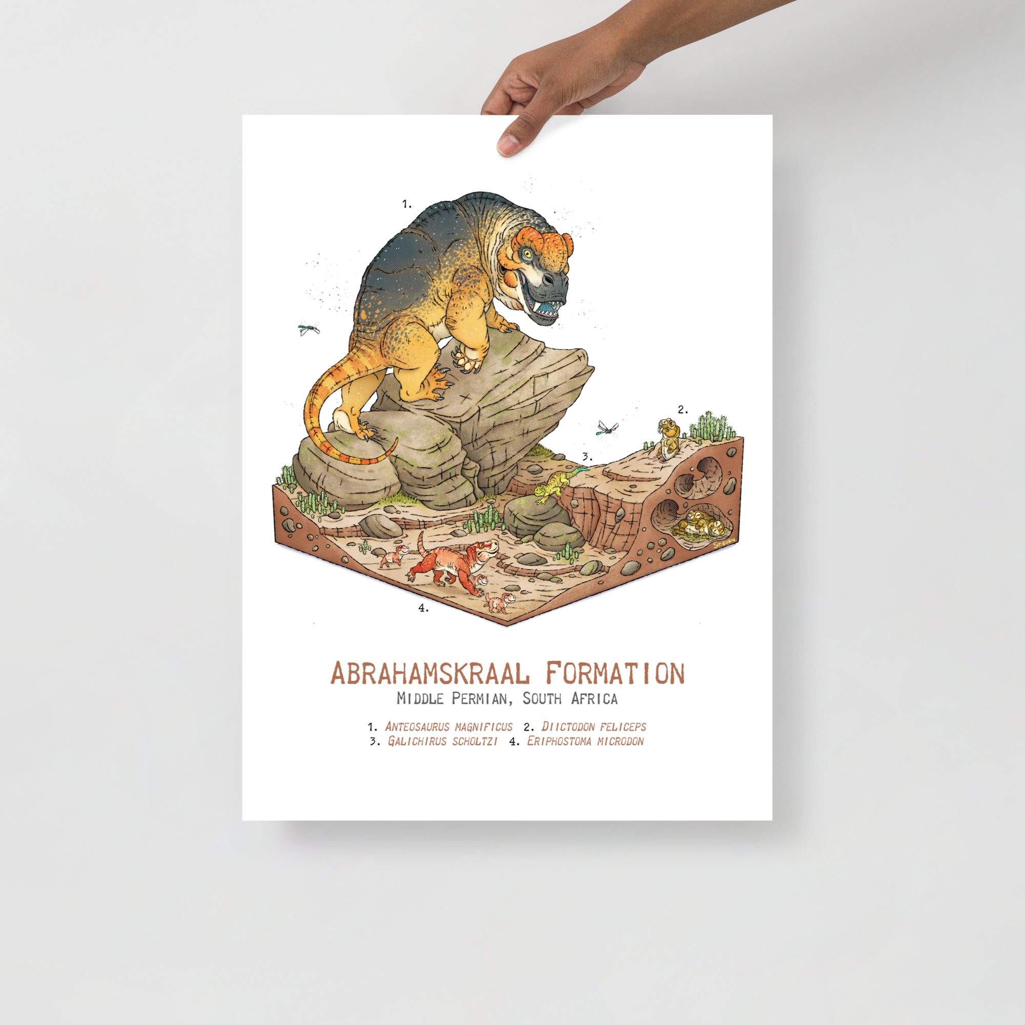 Abrahamskraal Formation Diorama poster