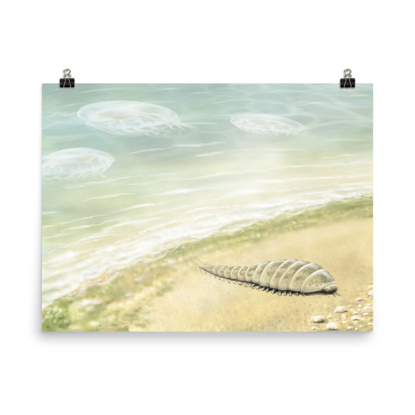 Euthycarcinoid, early land arthropod — Poster 18×24