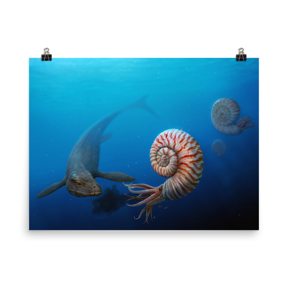 Parapuzosia vs Mosasaurus — Poster 18×24