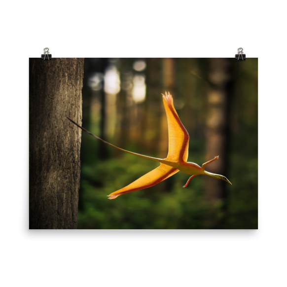 Sharovipteryx mirabilis — Poster 18×24