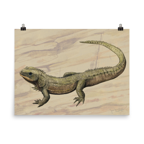 Oenosaurus muehlheimensis — Poster 18×24