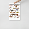 Theropod Dinosaurs poster