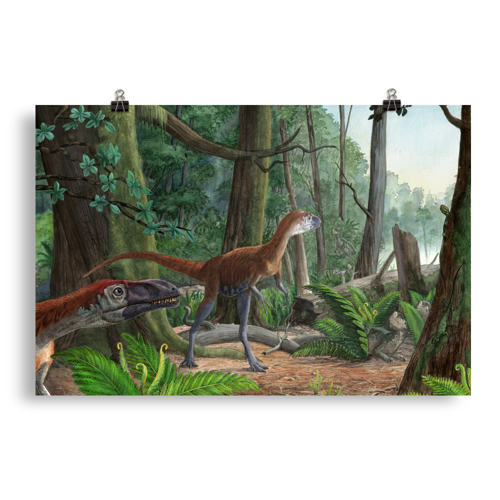 Dilong - Morning in the Chinese Forest — Poster 20×30