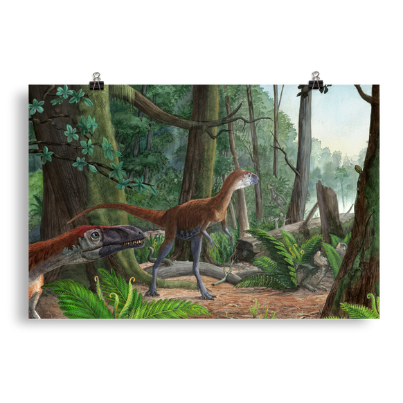 Dilong - Morning in the Chinese Forest — Poster 20×30