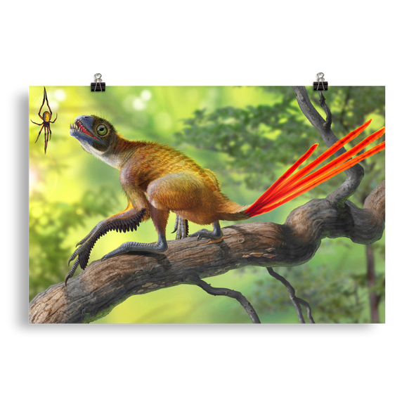 Epidexipteryx hui and Mongolarachne — Poster 20×30