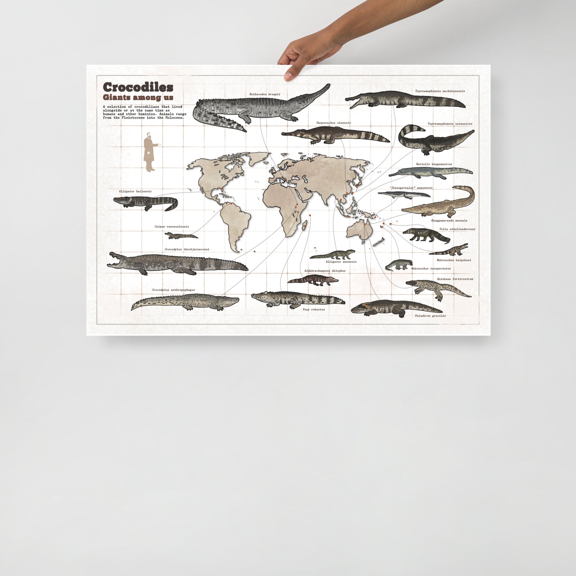 Crocodiles Among Us poster