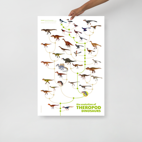 Evolution of Theropod Dinosaurs poster