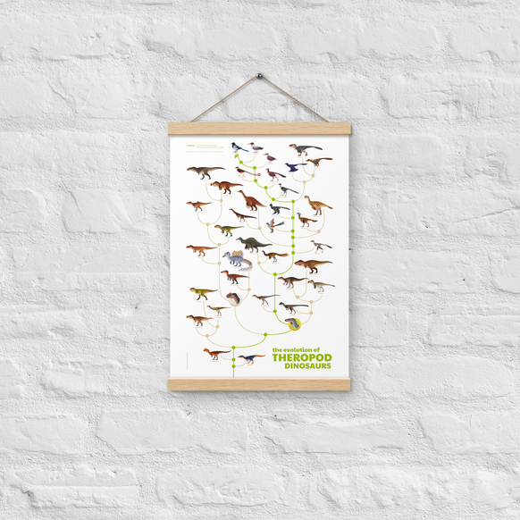 Evolution of Theropod Dinosaurs poster with hangers