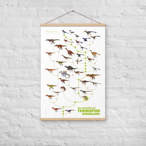 Evolution of Theropod Dinosaurs poster with hangers