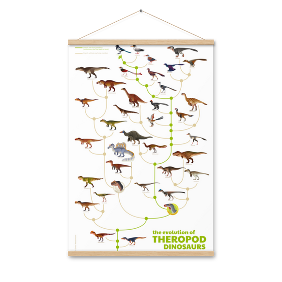Evolution of Theropod Dinosaurs poster with hangers