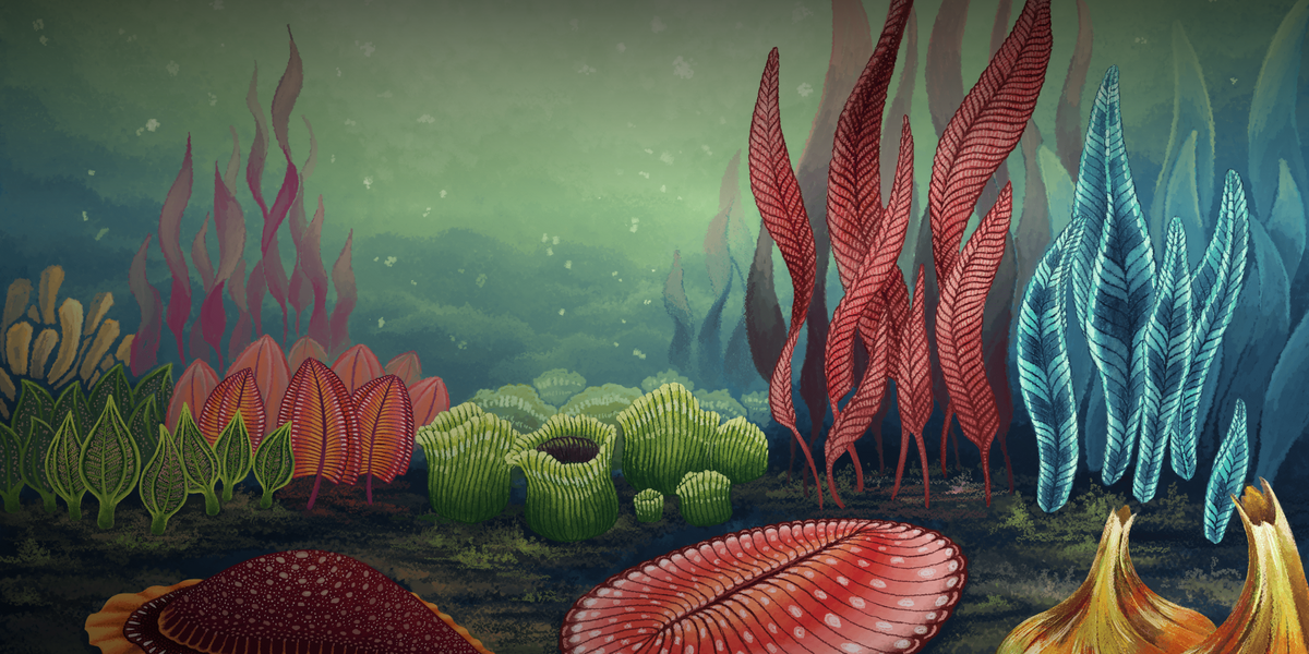 fossilday-banner-1791955180706.png