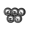 Dinosaur Fancier set of pin buttons
