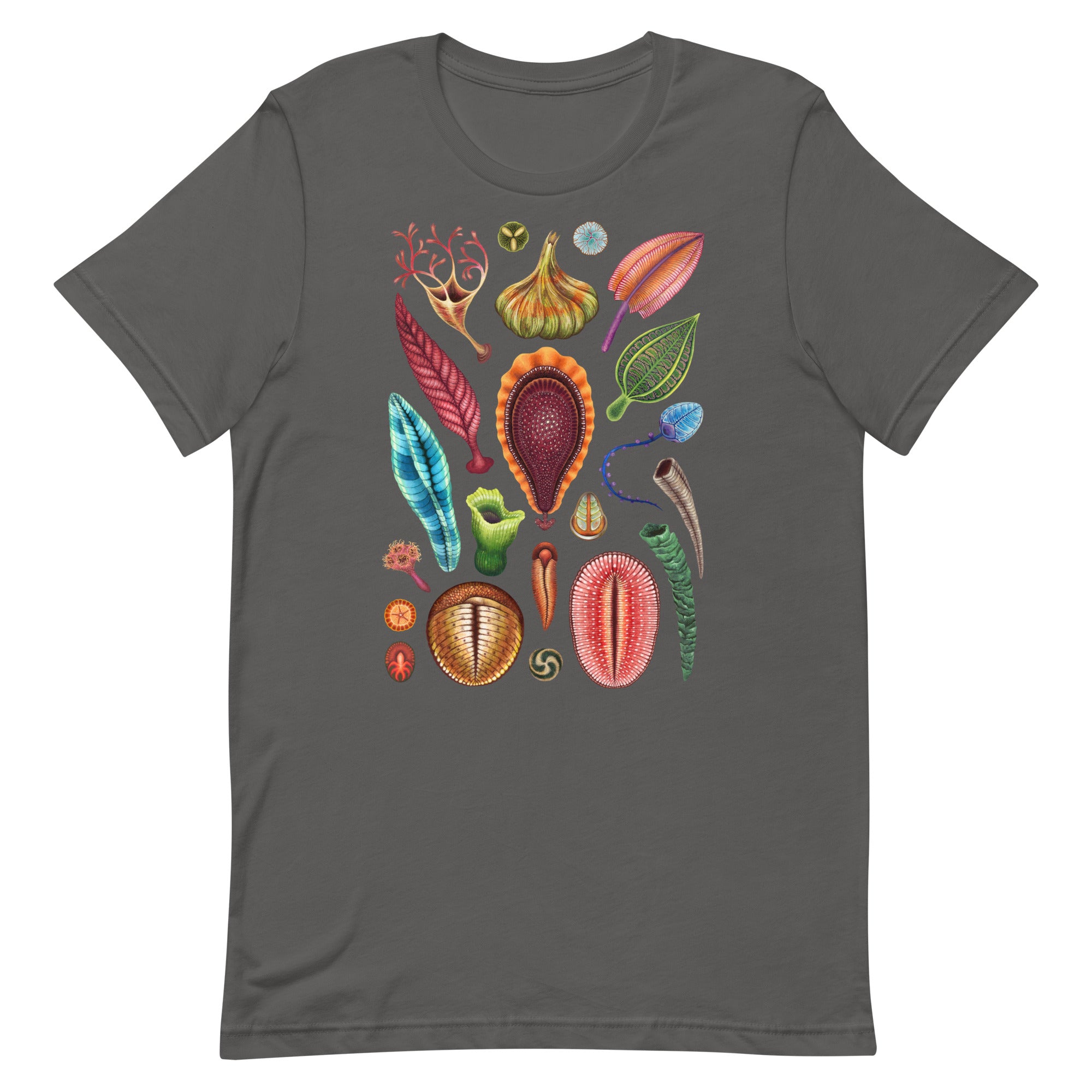 Ediacaran biota t-shirt