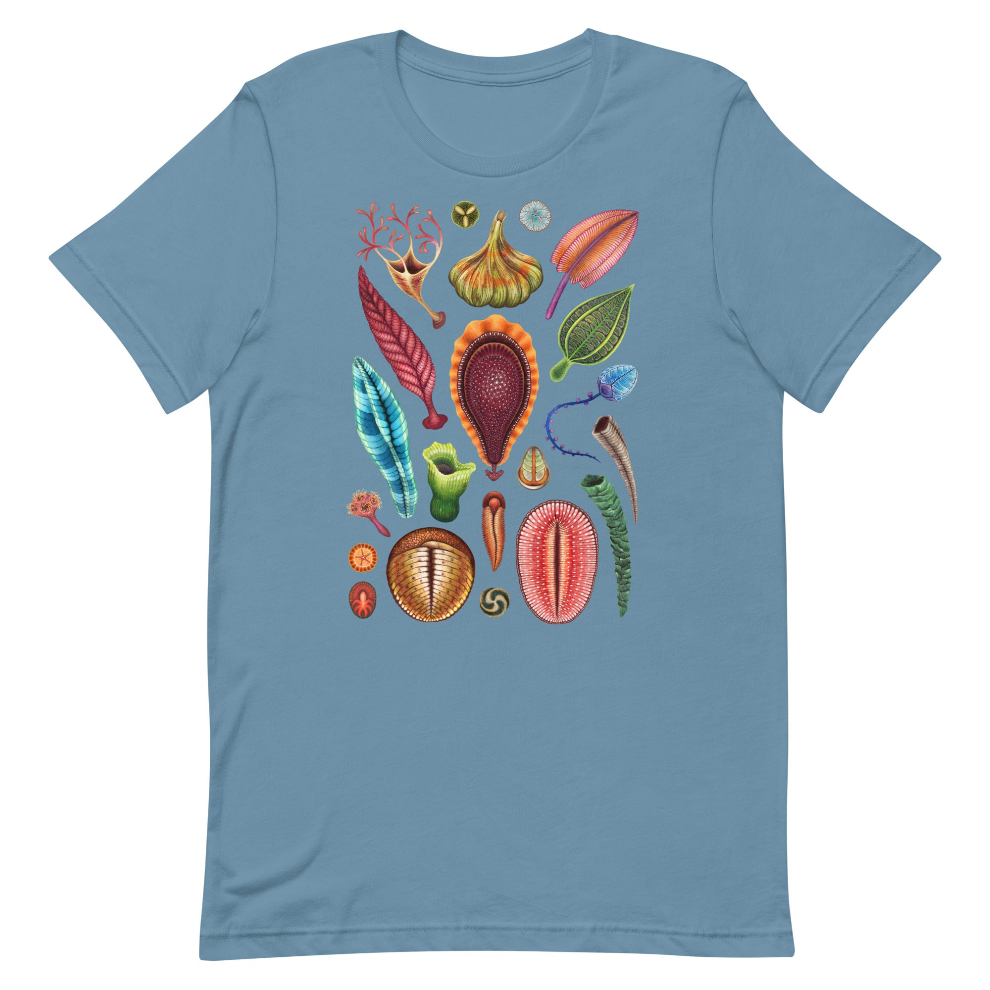 Ediacaran biota t-shirt