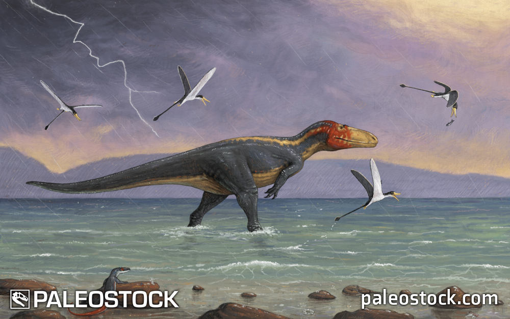 Eustreptospondylus stock image