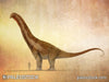 Alamosaurus sanjuanensis stock image