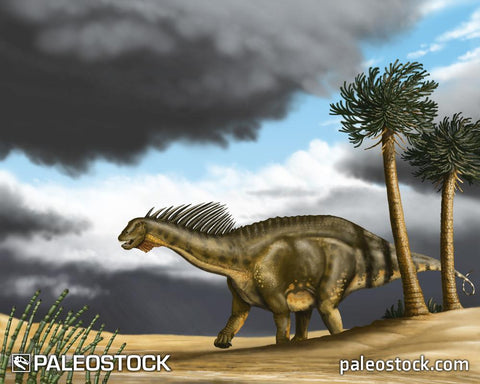 Amargasaurus cazaui stock image