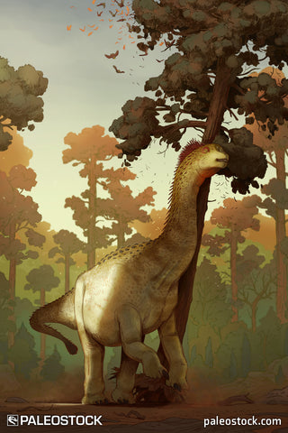 Camarasaurus stock image