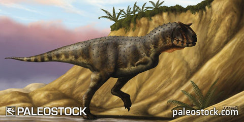 Carnotaurus sastrei stock image