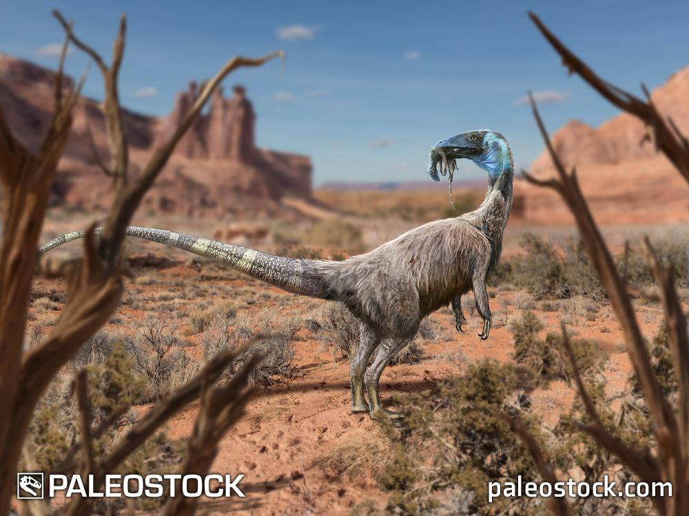 Coelophysis Cannibalism stock image