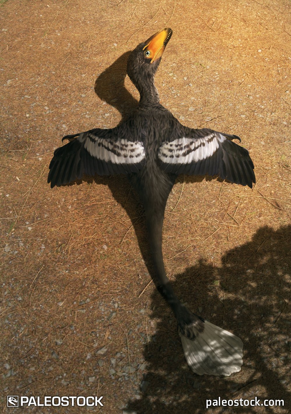 Deinonychus antirrhopus stock image