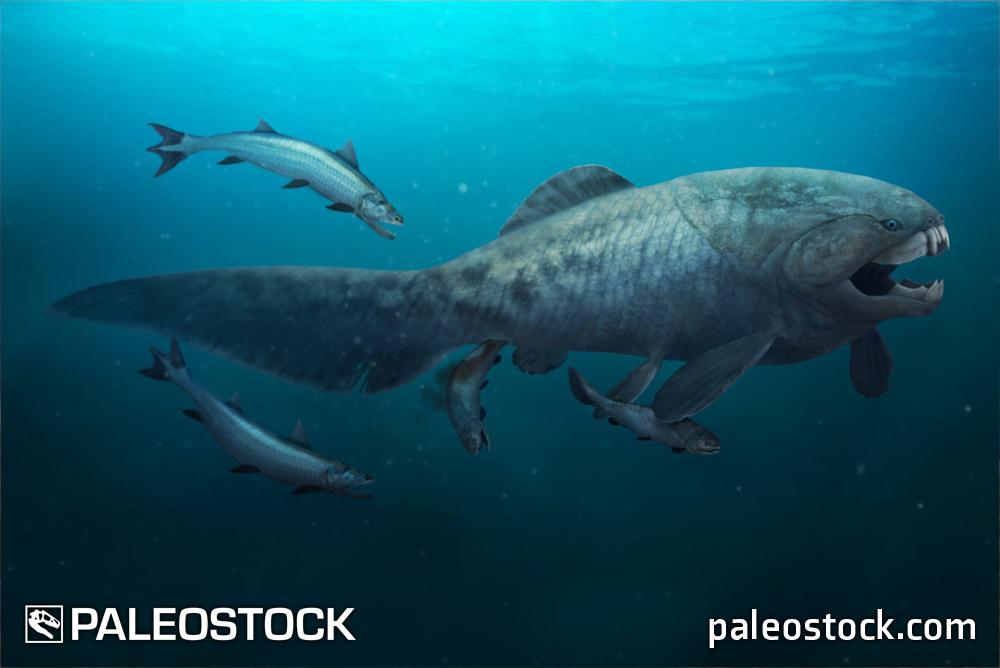 Dunkleosteus stock image