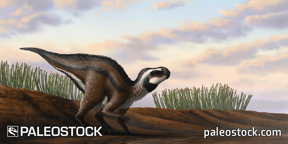 Spanish early Rhabdodontid stock image