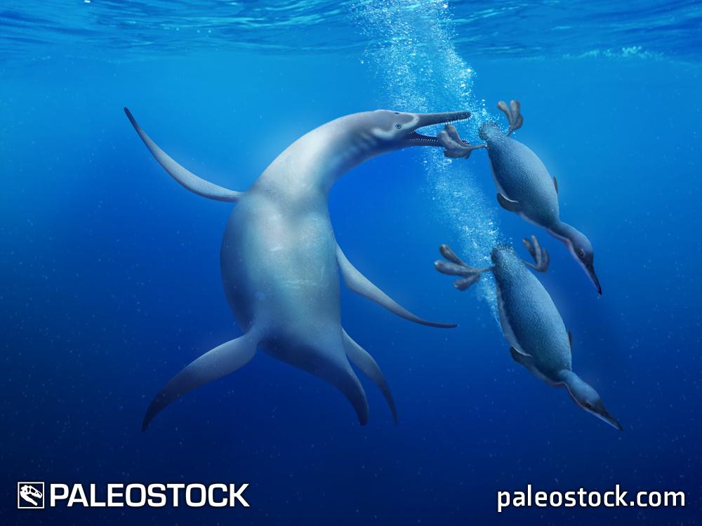 Hesperornis and plesiosaur stock image