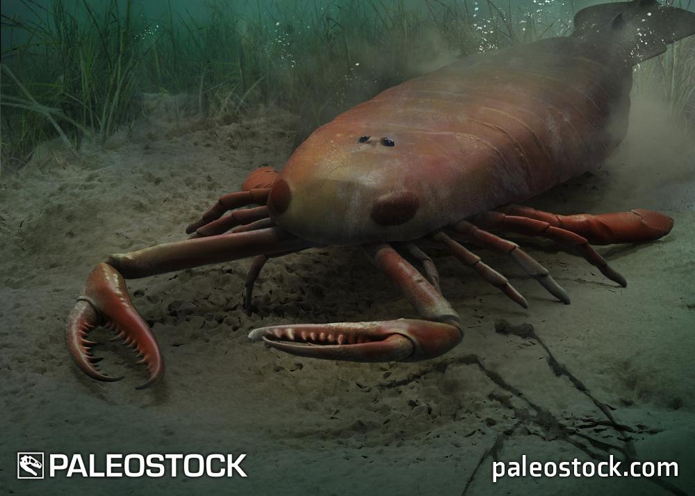 Jaekelopterus stock image