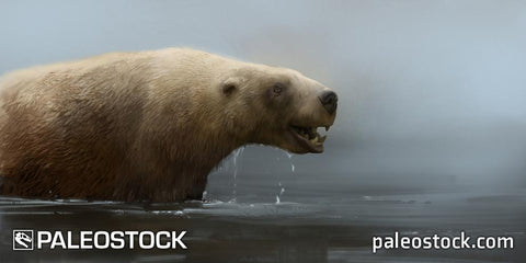 Kolponomos Otter Bear stock image