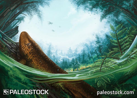 Late Devonian Forest stock image