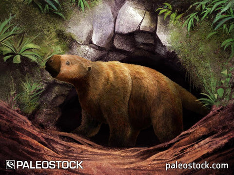 Lestodon stock image
