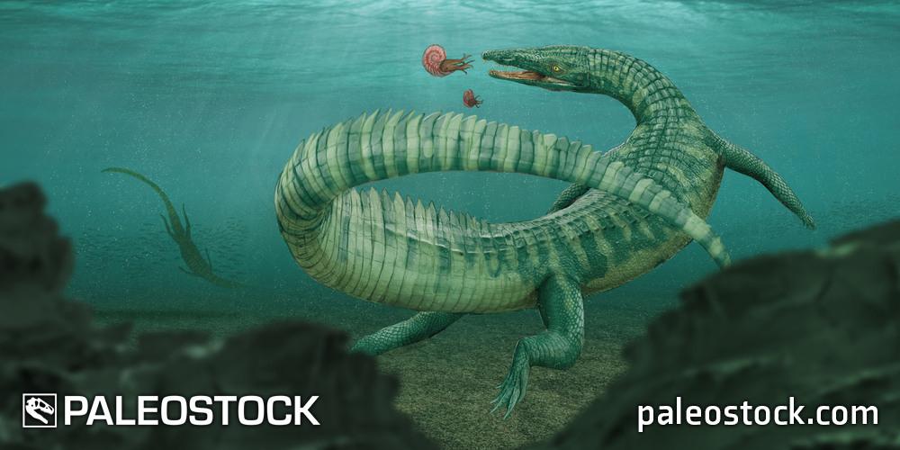 Litorosuchus somnii stock image