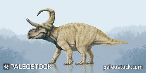 Machairoceratops cronusi stock image