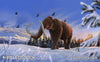 Mammuthus primigenius stock image