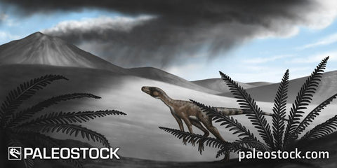 Marasuchus lilloensis stock image