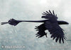 Microraptor gui stock image