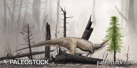 Muttaburrasaurus and Wollemia stock image