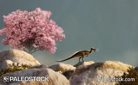 Pachycephalosaurus & Magnolia stock image