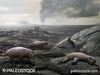The Great Permian Extinction - on land stock image